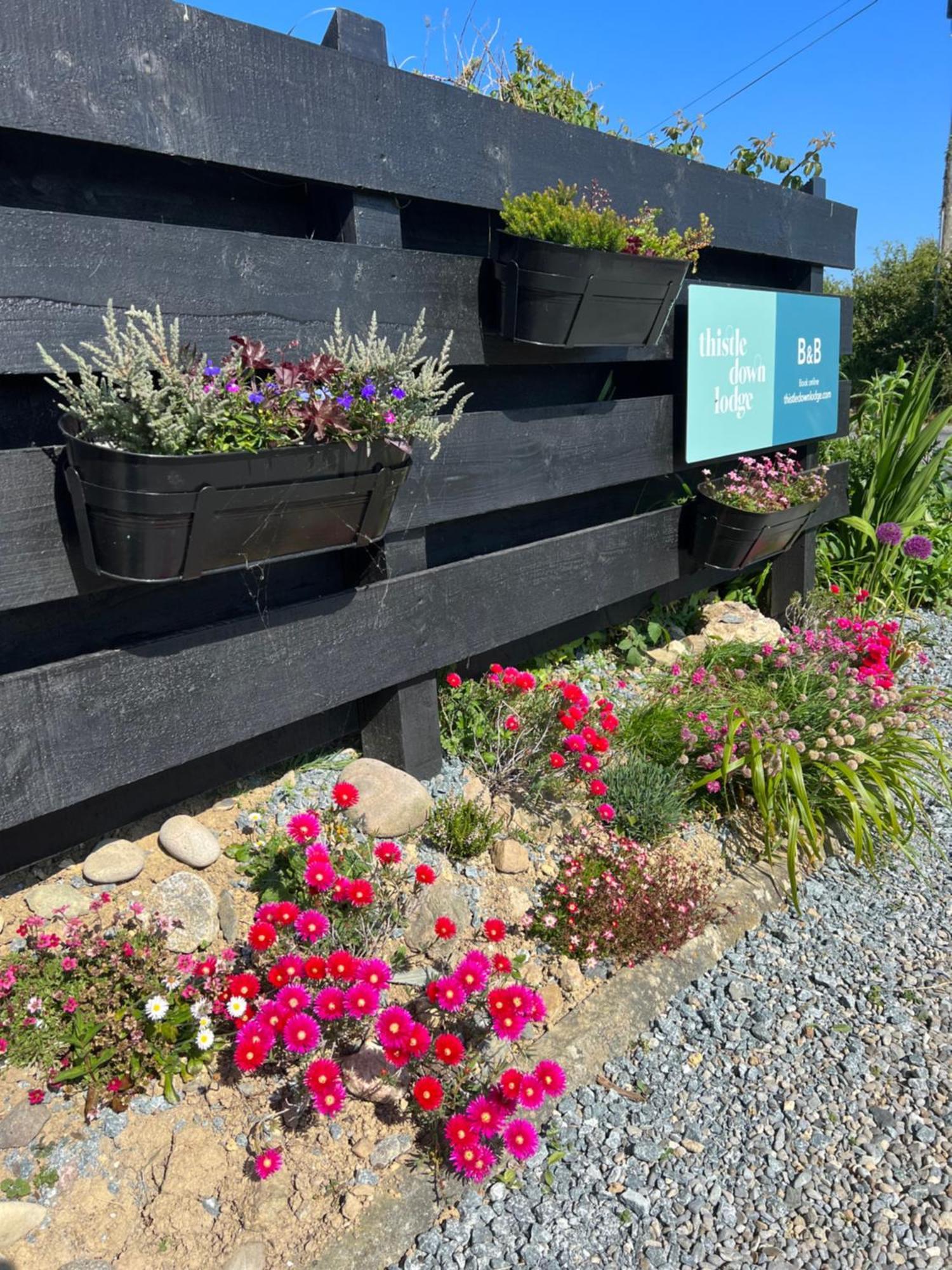 Thistledown Lodge Fethard on Sea Exterior photo